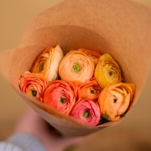 Zväzok Iskerníkov - Ranunculus